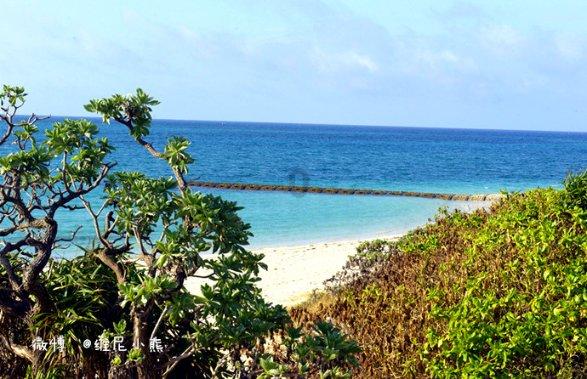 探索海地帮派冲突致至少99死135伤,当地的黑帮势力有多严重?知识星球,共享精彩学习之旅